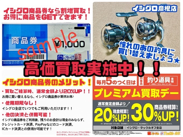 バラム３００ビッグバイトチャート